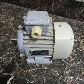 elektro dwigatel