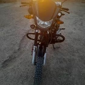 Fekon FK200-14G 2024