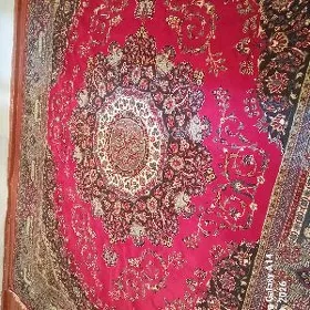 iran haly