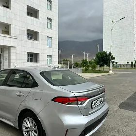 Toyota Corolla 2021