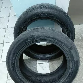 pakryska 205 55 16