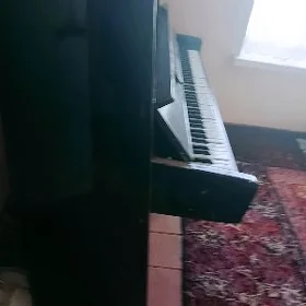 Piyanina