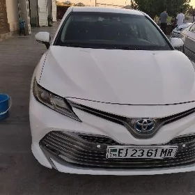 Toyota Camry 2020
