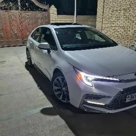 Toyota Corolla 2024