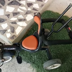 velosapet
