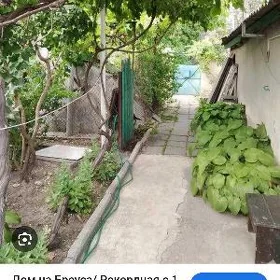 ayraport daça