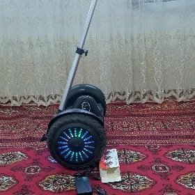 samokat skuter sigwey