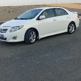 Toyota Corolla 2008