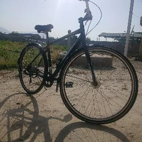 Tigir  27