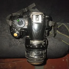 nikon d3100
