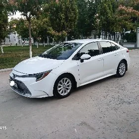 Toyota Corolla 2021