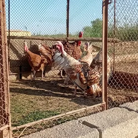 INDUKLAR