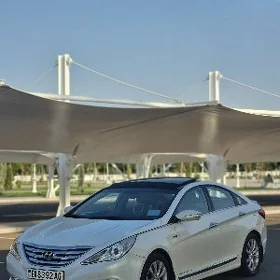 Hyundai Sonata 2010
