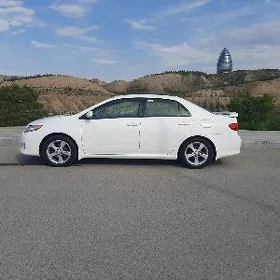 Toyota Corolla 2008