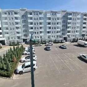  Satlyk jaÿ 