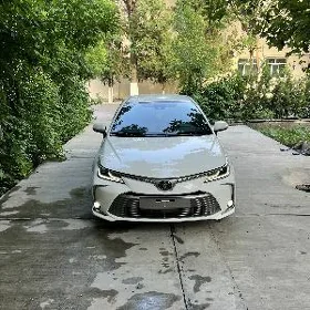 Toyota Corolla 2020