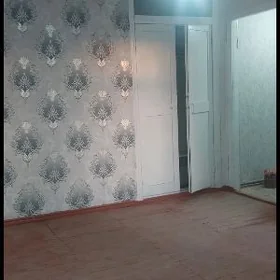 квартира жайлар