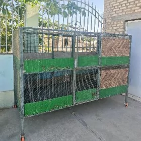 Ketek juyje 2 etaj