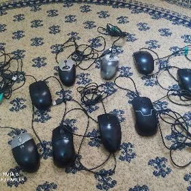 kompyeter mişka