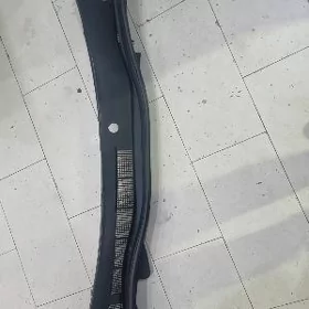 ayna şotgañ plasmasy
