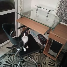 стол компьютерный