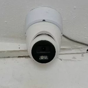kamyra taze