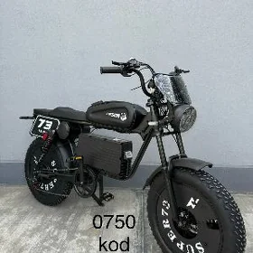 TIGIR MATOR BASEYKA KALYASGA