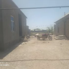Satlyk jaylar