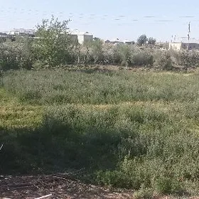 Mellek yer
