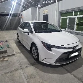Toyota Corolla 2023