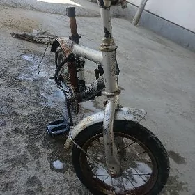 Tigir