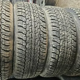 265.60.18    Dunlop