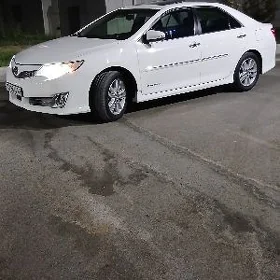 Toyota Camry 2013