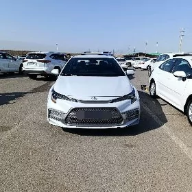 Toyota Corolla 2022