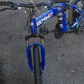 tigir 20 lyk