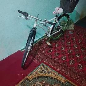 Japan welsapet  28