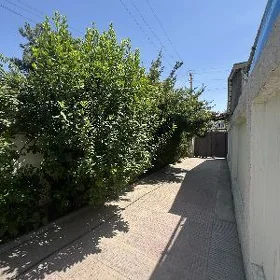 Ak-Altyn 1.68sotok 4kom 119m²