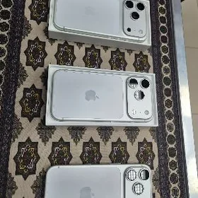 17pro