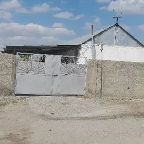 gökdepe enkebede obo