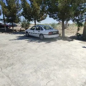 Opel Vectra 1991