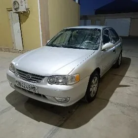 Toyota Corolla 2001