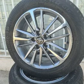 Yewropeyka Kemri R17