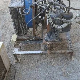 haladinik