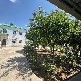 Taze zaman KATTEJZ