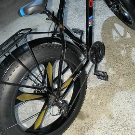 BMW TİGİR