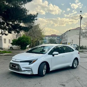 Toyota Corolla 2024