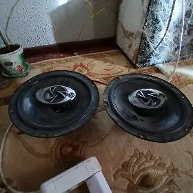 Pioneer 400 wat