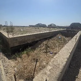 Nebitchi 22