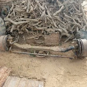 Mos