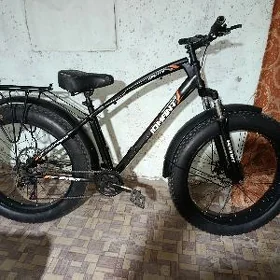 tigir
